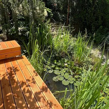 Sport & Sauna شقة